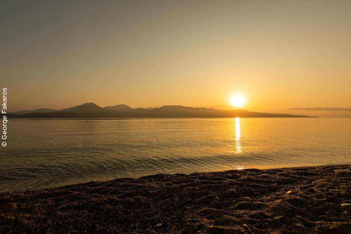 White Rock Villas Lefkada Лигия Экстерьер фото